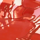 Fabienne Chapot Lovey Lobster Scarf